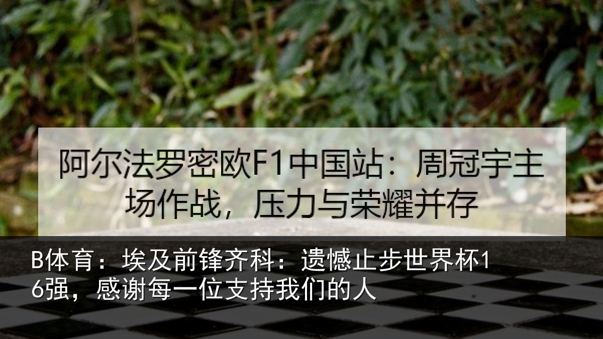 B体育：埃及相关情况世界相关情况持我们的人