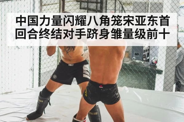MMA knockout punch